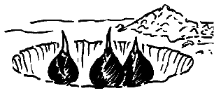gartentipps februar blumenzwiebeln