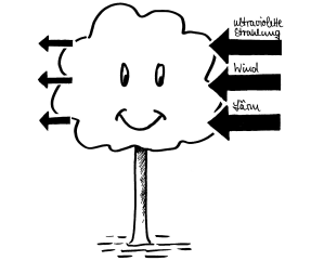 Mein Freund der Baum