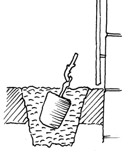 Weinreben, Pflanzung
