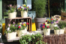 Frühjahrsmarkt 2022 - Bienen im Garten_1