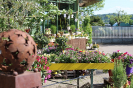 Frühjahrsmarkt 2022 - Bienen im Garten_35