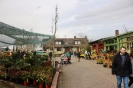 Gertrauismarkt_2018_10