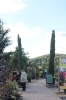 Kirchweihmarkt_2015_51