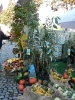 Apfelmarkt 2006_1