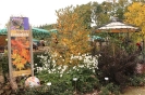 Apfelmarkt 2015_11