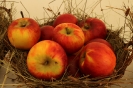 Apfelmarkt 2015_27