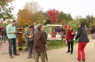 Apfelmarkt 2015_30