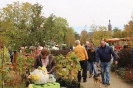 Apfelmarkt 2015_31