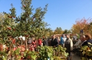 Apfelmarkt 2015_48