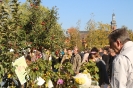 Apfelmarkt 2015_55