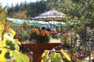 Apfelmarkt 2015_56