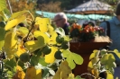Apfelmarkt 2015_57