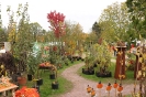 Apfelmarkt 2015_6