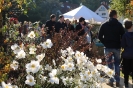 Apfelmarkt 2015_72
