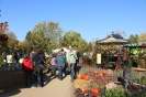 Apfelmarkt 2015_79
