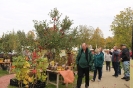 Apfelmarkt 2015_9