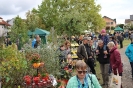 Apfelmarkt 2016 _17