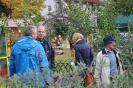 Apfelmarkt 2016 _29
