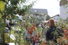 Apfelmarkt 2016 _32