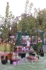 Apfelmarkt 2016 _36