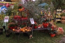 Apfelmarkt 2016 _8