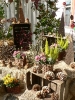 News und Trends 2006_14