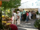 News und Trends 2006_20