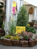 News und Trends 2006_2