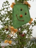 News und Trends 2006_6
