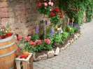 Schmankerlwoche im Weingut Giegerich_10