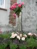 Schmankerlwoche im Weingut Giegerich_15