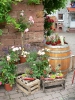 Schmankerlwoche im Weingut Giegerich_19