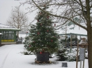 Weihnachten_1