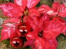 Weihnachten