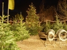 Weihnachten_6