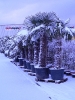 winterliche Impressionen_12