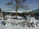 winterliche Impressionen_16