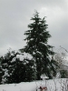 winterliche Impressionen_17