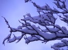 winterliche Impressionen_1