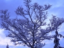 winterliche Impressionen_2