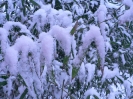 winterliche Impressionen_3