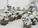 winterliche Impressionen_5