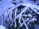 winterliche Impressionen_8