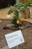 Eröffnungswochenende_60