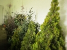 Schnittkurse 2012_12