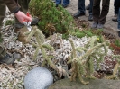 Schnittkurse 2012_22
