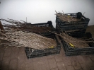 Veredlungskurs 2012_20