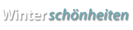 2010_01_winterschoenheiten