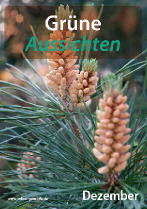 Grüne Aussichten