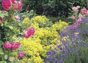 Der Garten der Zukunft